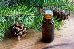 fir essential oil