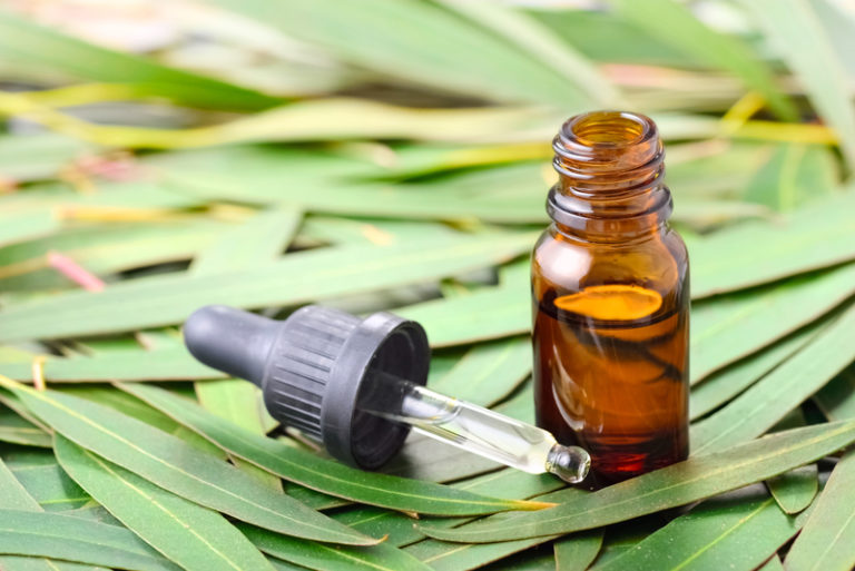 How to Use Eucalyptus Essential Oil and Meramour's BodyFeedback