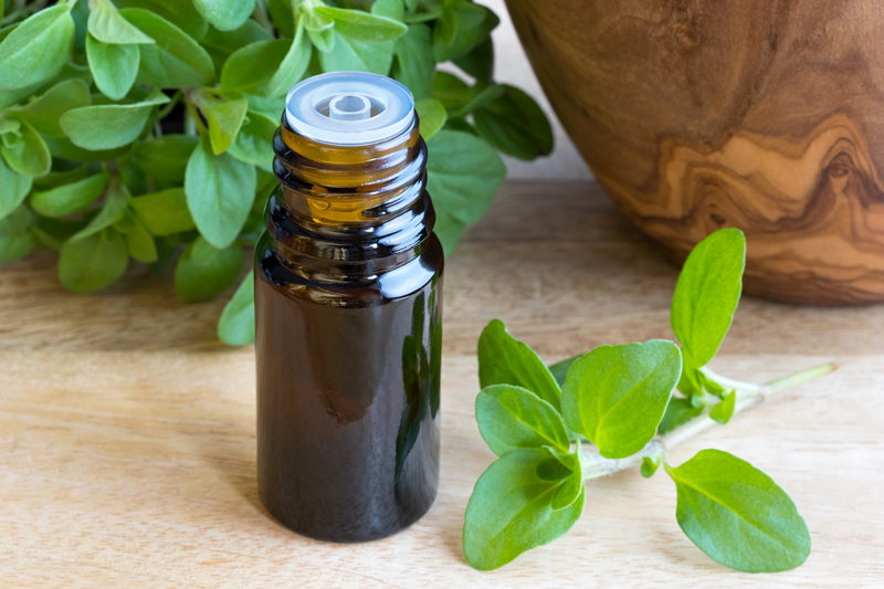 How to Use Marjoram Essential Oil BodyFeedback