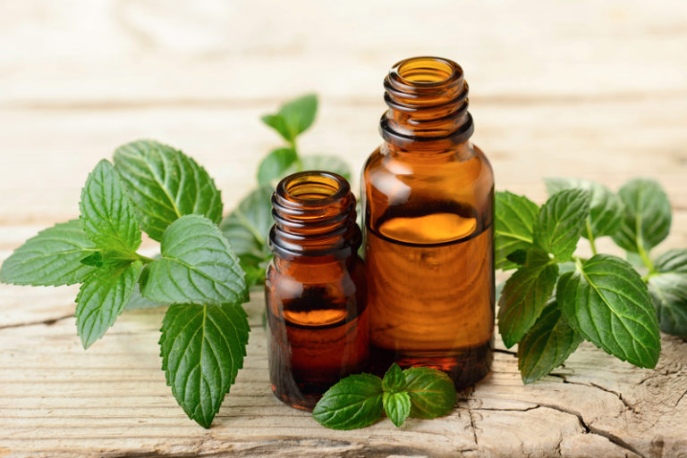 How to Use Peppermint Essential Oil BodyFeedback