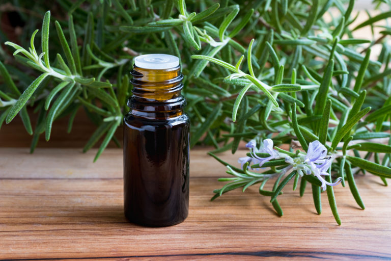How to Use Rosemary Essential Oil - bodyfeed