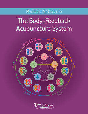 Meramour’s Guide to The Body-Feedback Acupuncture System