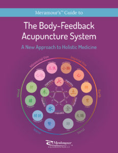 Body-Feedback-Acupuncture-System-Textbook